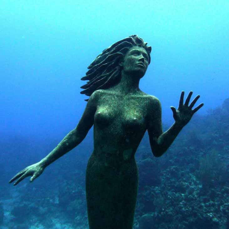 Mermaid Blog