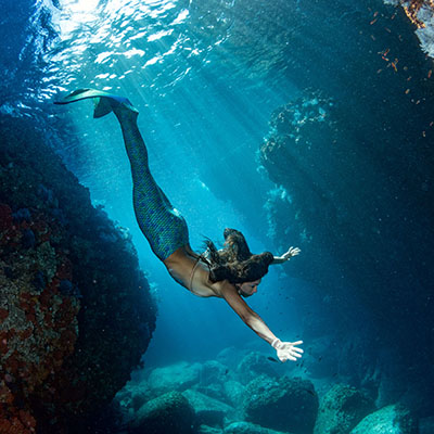 Shop For Mermaid Products