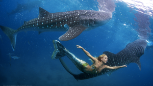 Hannah Mermaid